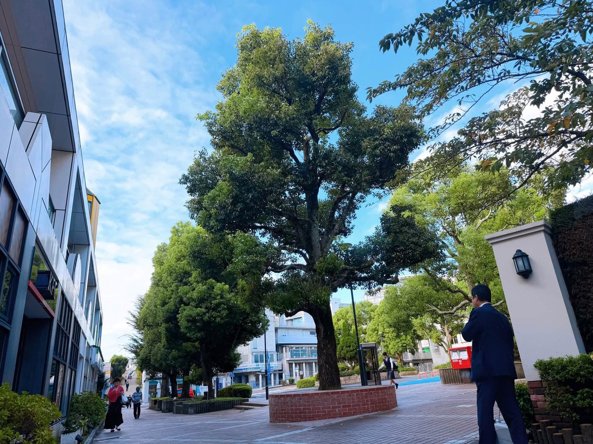 sakai_manabu's tweet photo. 緑園都市駅西口の一角をお借りして朝のご挨拶。

台風が近づいていることもあり、防災のお話と来月に迫った横浜市長選についてご報告しました。

駅頭をする時間帯はずっと雨や曇りが続いていました。今朝は久々に青空を見た気がいたします。

（スタッフA） https://t.co/b1VJQi37hf