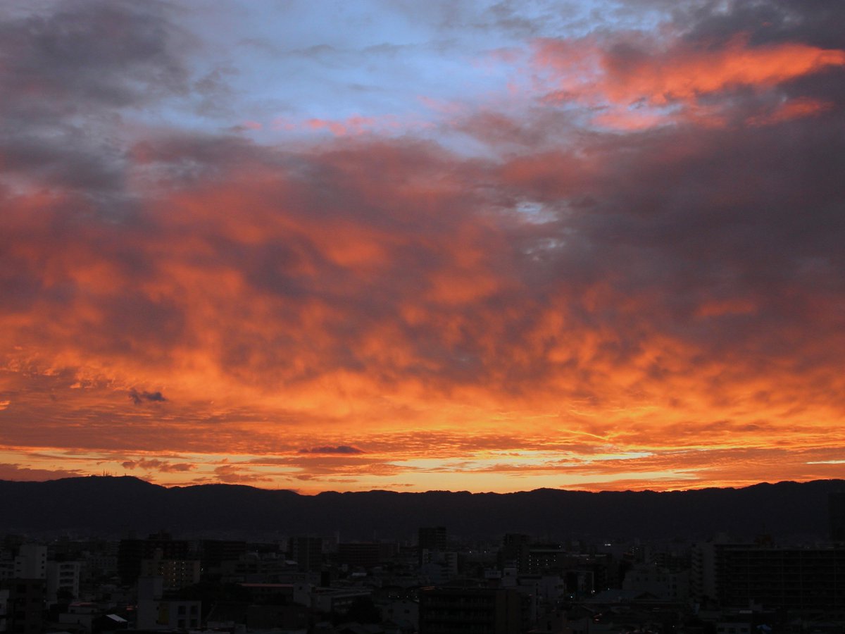avanzaceo's tweet photo. 久しぶりの ご来光🌄
あべのハルカスも　久しぶりに　朝日を浴びました👍️
#大阪 https://t.co/i6DLujNNBt