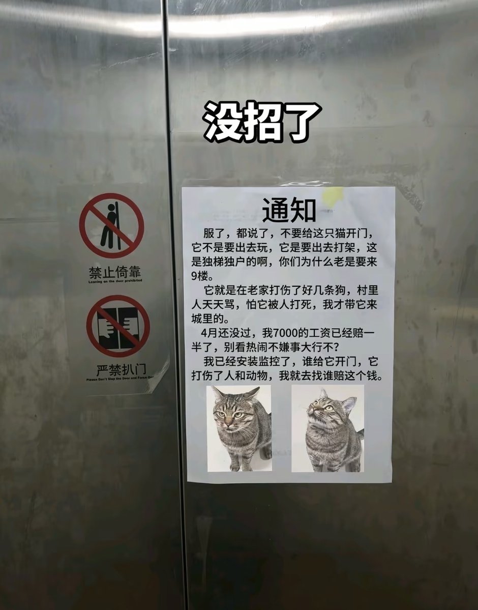Artist0Anime's tweet photo. 笑死了，别耽误猫上学 https://t.co/9RxEKWDyZZ