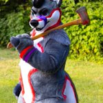 Photo by Timber the Folf (@timberthefolf)