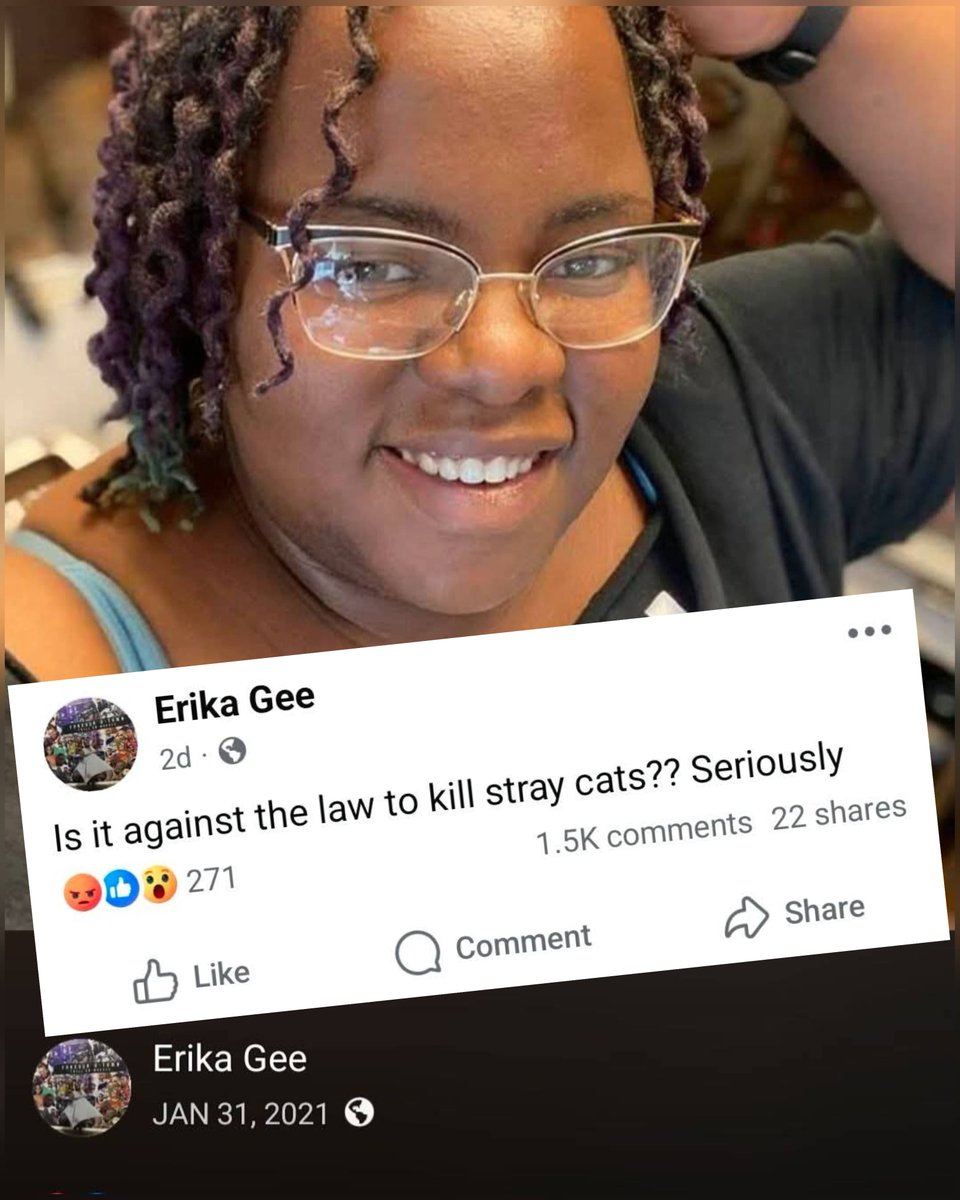 carp8502's tweet photo. @hayasaka_aryan Watch out. Africans in america like killing cats. Most of them worship voodoo. They have low impulse control as well. But if you confront them about it, their sistas and others that look like them will defend them. https://t.co/vun2KjqRg8