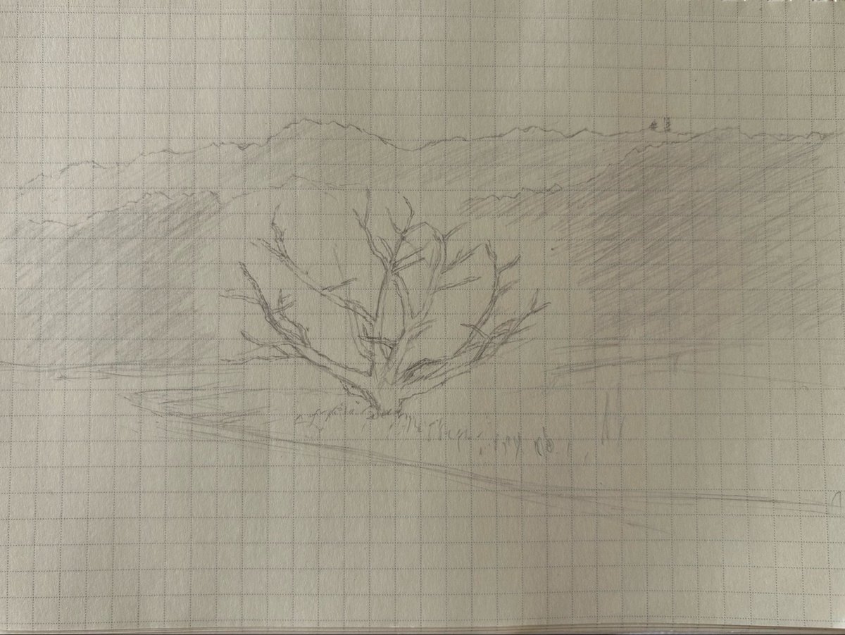 SaboDamu1's tweet photo. 8年ぶりくらいに木を模写... 1時間半も経ってて驚き
木の道どこ？と迷子になりまくりありもしない木の筋作ったり、後半はもう葉っぱの輪郭も影もどうなってるのか分からなくなりヤケクソ影足しをしてオワリ！お昼！ https://t.co/xKzE2NObD0
