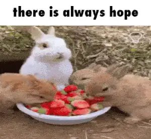 ThyBops's tweet photo. @nebula3000_cool https://t.co/8PcEUvpE2W