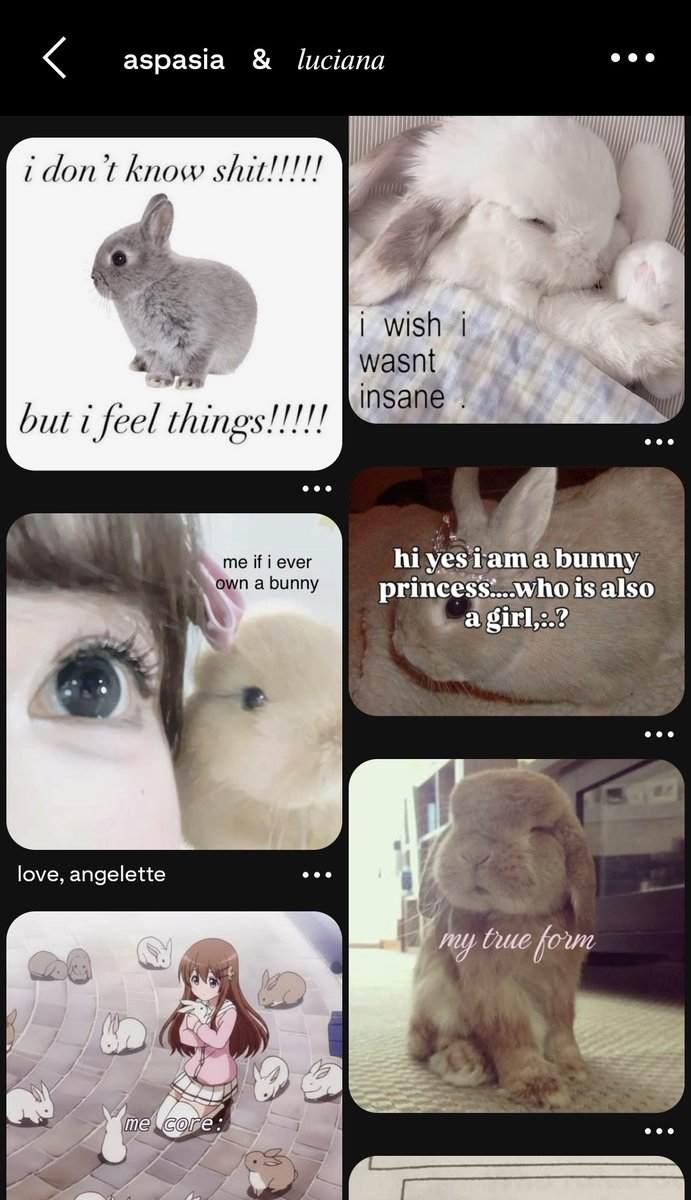 anemonawatanabe's tweet photo. MINHAS MUSETES AÍ VSF KKKKKKKKKKKK #aeetwt https://t.co/RD8anM5p1d
