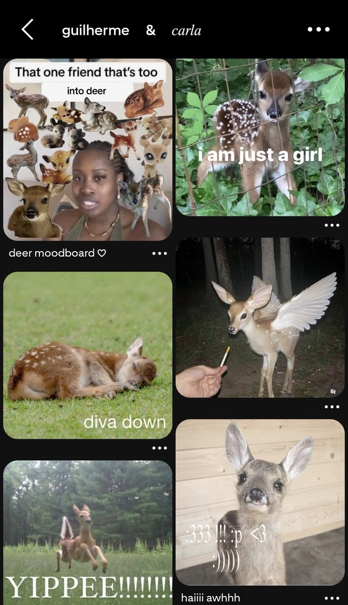 anemonawatanabe's tweet photo. MINHAS MUSETES AÍ VSF KKKKKKKKKKKK #aeetwt https://t.co/RD8anM5p1d
