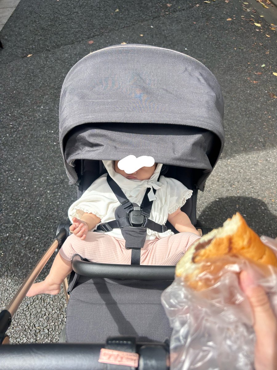 _pomcham_'s tweet photo. ワンオペ限界オカン
と
児童館から支援センターへ移動中、ベビーカーで娘を寝かせながら食べるパン https://t.co/A80hXuwWJn