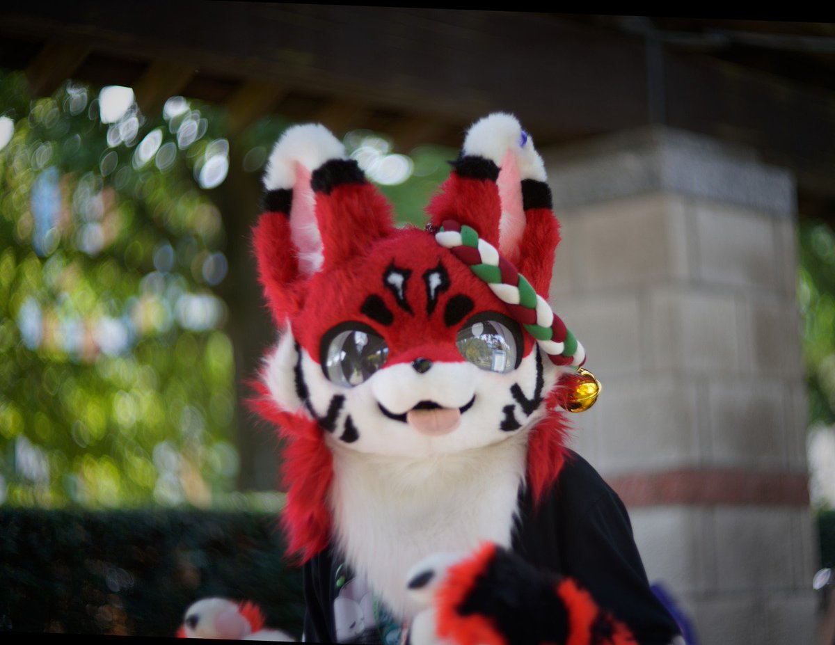 harusunlight1's tweet photo. @MaxFluffys Just a little red fox https://t.co/2nnDgWskeG
