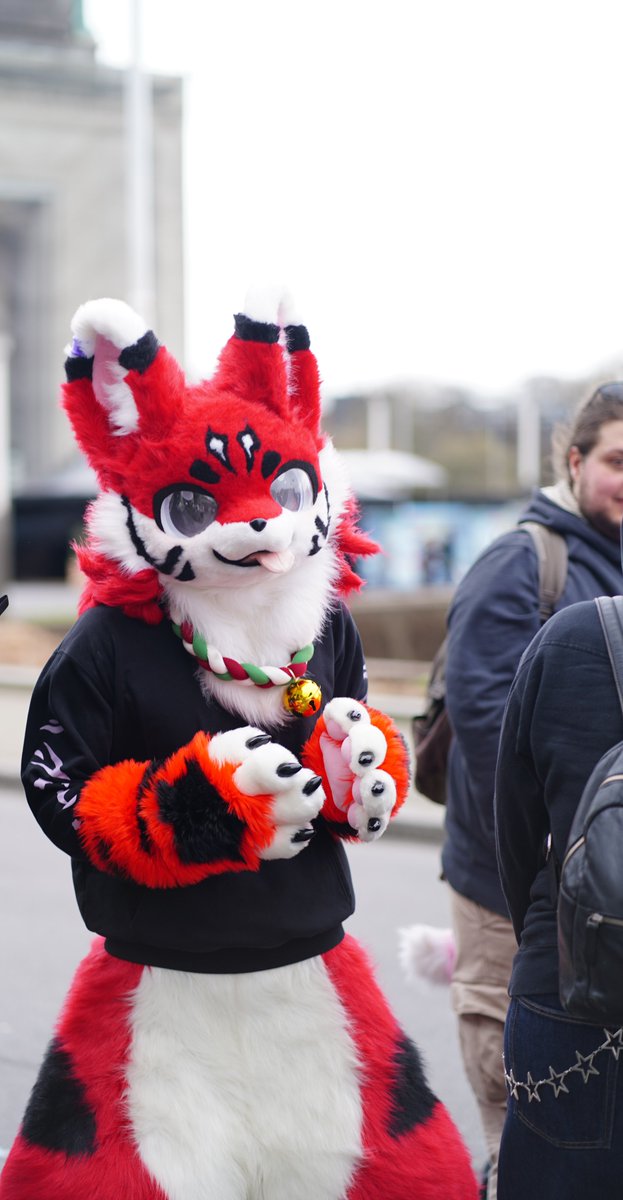 harusunlight1's tweet photo. @MaxFluffys Just a little red fox https://t.co/2nnDgWskeG