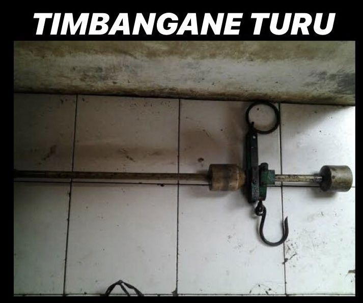 serandani tweet picture