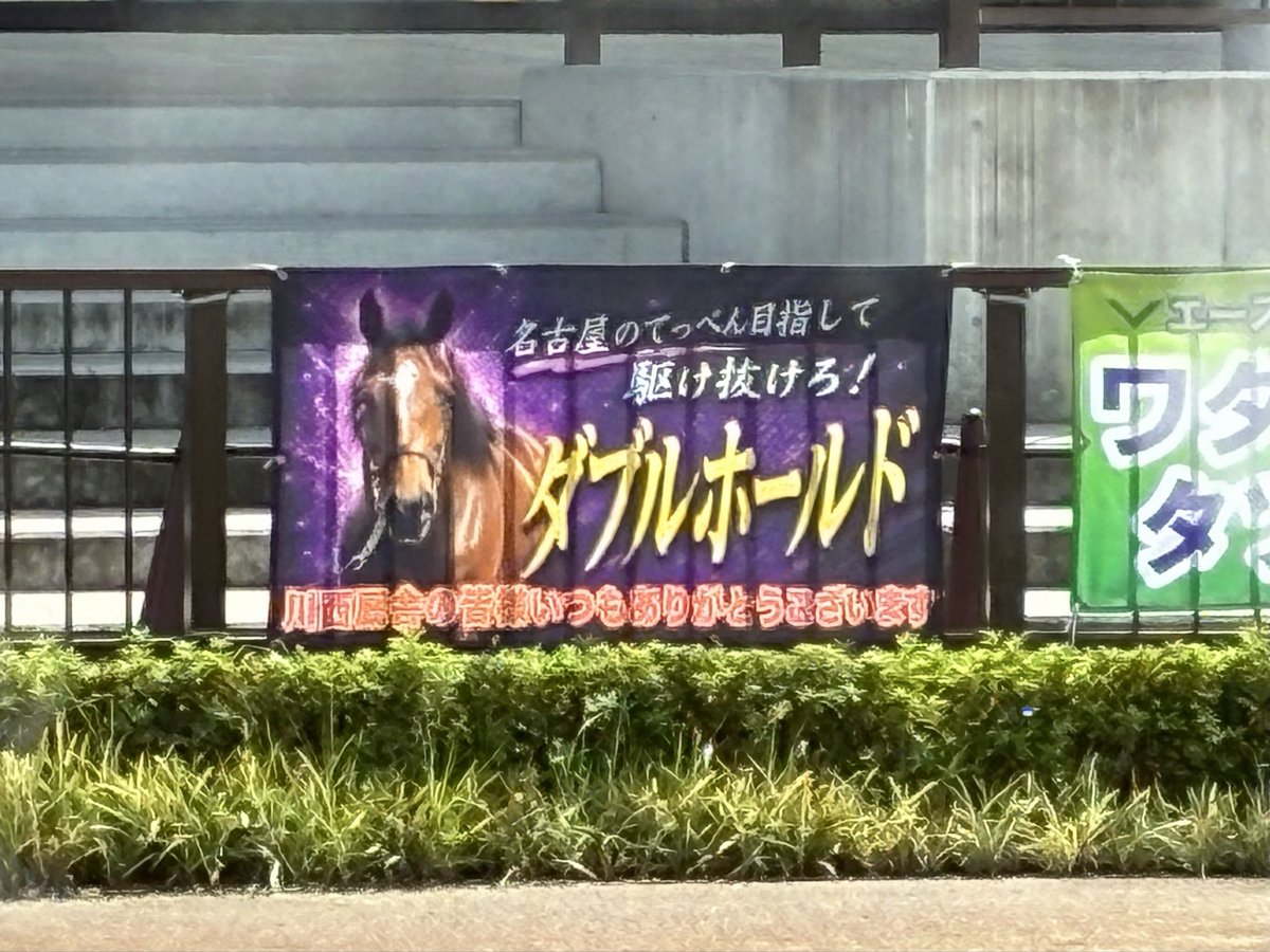 quantumgg24bb's tweet photo. ダブルホールド本日デビューおめでとう🎊混戦ぽい感じに見えますけどまずは競馬を覚えてですがスタート決めてそのまま爆走を期待しますよ。
#ダブルホールド https://t.co/RlxddsnT3h