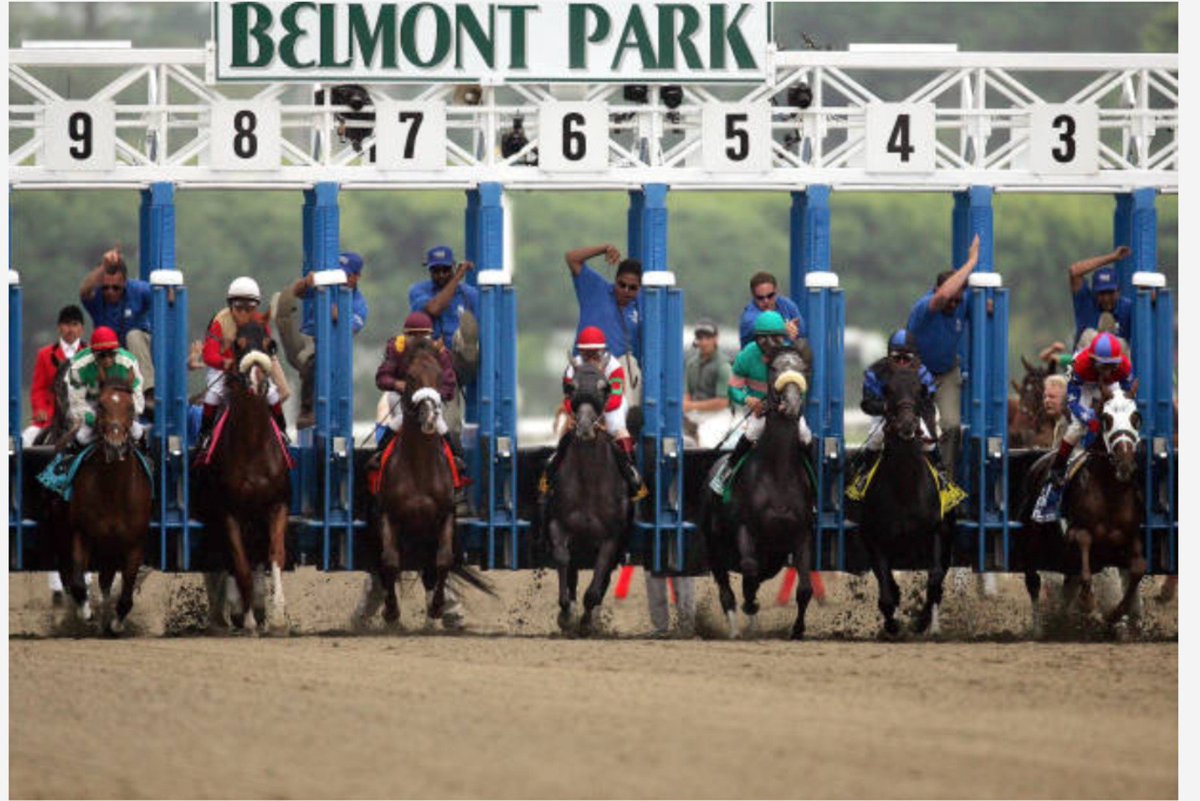 LiderKenny's tweet photo. #Hipismo Hoy #Viernes comenzamos a laborar esta semana en el #OpeningDay de #BelmontPark también estaré con mi asesoría en #ChurchillDowns y #GulfstreamPark para todo tipo de jugadores.
Ganadores
Puestos
Dar Pago
Exóticas
¡COSTO MODICO SEÑORES!
Suscripción (+58 422.159.48.14) https://t.co/qv2f9mAQg3