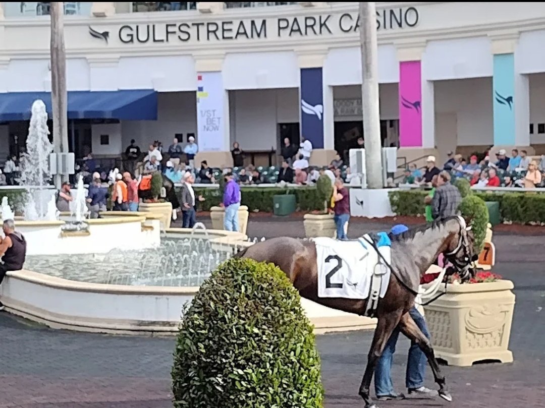 LiderKenny's tweet photo. #Hipismo Hoy #Viernes comenzamos a laborar esta semana en el #OpeningDay de #BelmontPark también estaré con mi asesoría en #ChurchillDowns y #GulfstreamPark para todo tipo de jugadores.
Ganadores
Puestos
Dar Pago
Exóticas
¡COSTO MODICO SEÑORES!
Suscripción (+58 422.159.48.14) https://t.co/qv2f9mAQg3