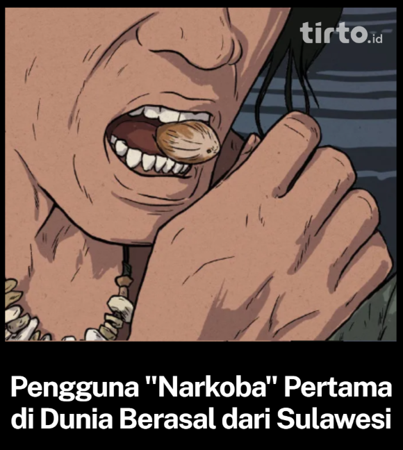 TirtoID's tweet photo. Para peneliti menemukan adanya pola keausan dalam gigi individu berusia ribuan tahun yang ditemukan di Leang Bulu Bettue. Analisis biokimia pada jaringan gigi kuno tersebut mendeteksi adanya jejak arecoline, yaitu senyawa psikoaktif utama yang terdapat dalam biji pinang. https://t.co/csmTrIHMAI