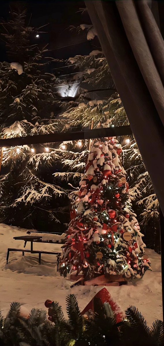 ArchiePurr0kkx's tweet photo. [May your Christmas be wrapped in warmth, filled with laughter, and bright with the love of those you hold dearest! ]， https://t.co/BTK0OdUV4c