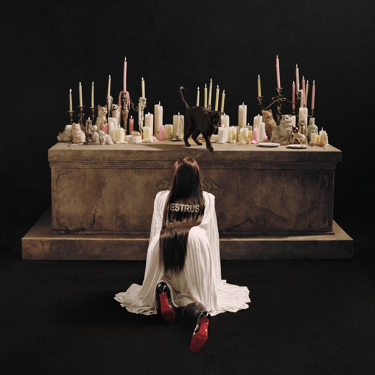 Music's tweet photo. SHE'S YOUR GIRL 

@ToveLo's new album ESTRUS is out now https://t.co/fV2XvATAo9