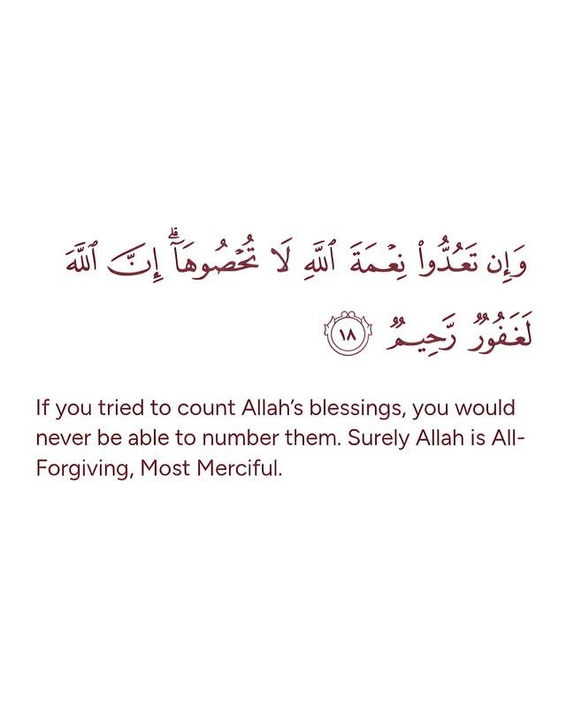 yar_aleey's tweet photo. Verse of the day 🤍 https://t.co/TNpDD9nLwi