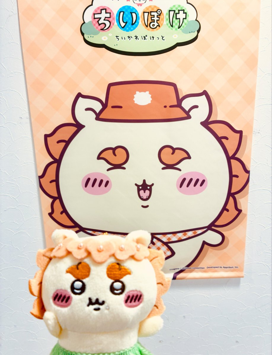 ramukoshisa's tweet photo. ちいぽけポップアップの抽選とれたから恐竜シサちゃんお迎えできた🥹🦕
うれしい〜〜🧡🧡
大好きなフルーツシサちゃんもいたからお迎えして双子になったよ🍊
かわいいねぇ🧡 https://t.co/eXqoKgRp4N
