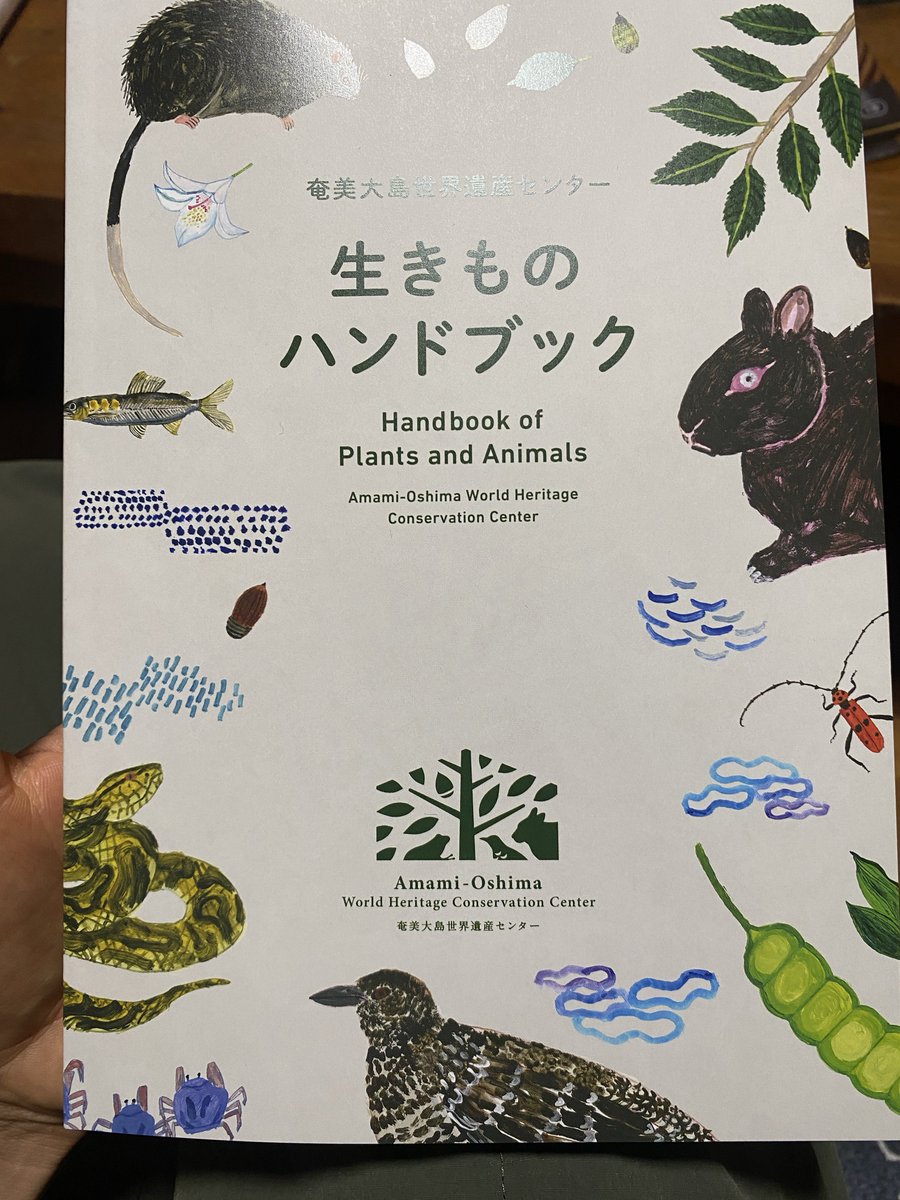 G3NTI1IS's tweet photo. 世界遺産センターで2000円寄付したら無料で貰えたぞ！！！！一般販売はしてないらしいぞ！！ https://t.co/z1myyKIWAu