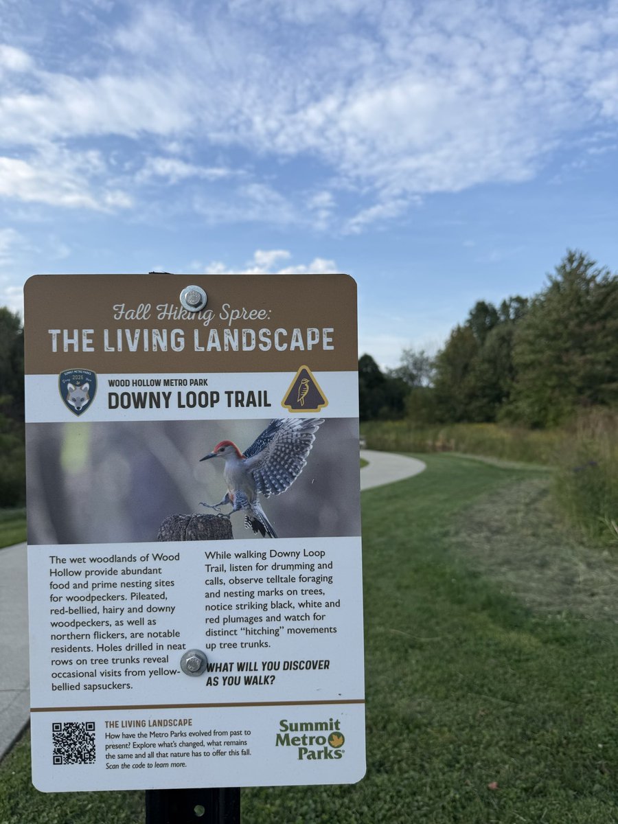 zeitgeistlens's tweet photo. Some of my favorite moments from this year’s Fall Hiking Spree | Really love learning about all of Ohio’s beauty and history on the trail!! https://t.co/KYhVAs9M0Z
