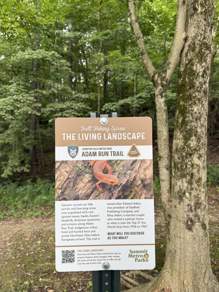 zeitgeistlens's tweet photo. Some of my favorite moments from this year’s Fall Hiking Spree | Really love learning about all of Ohio’s beauty and history on the trail!! https://t.co/KYhVAs9M0Z