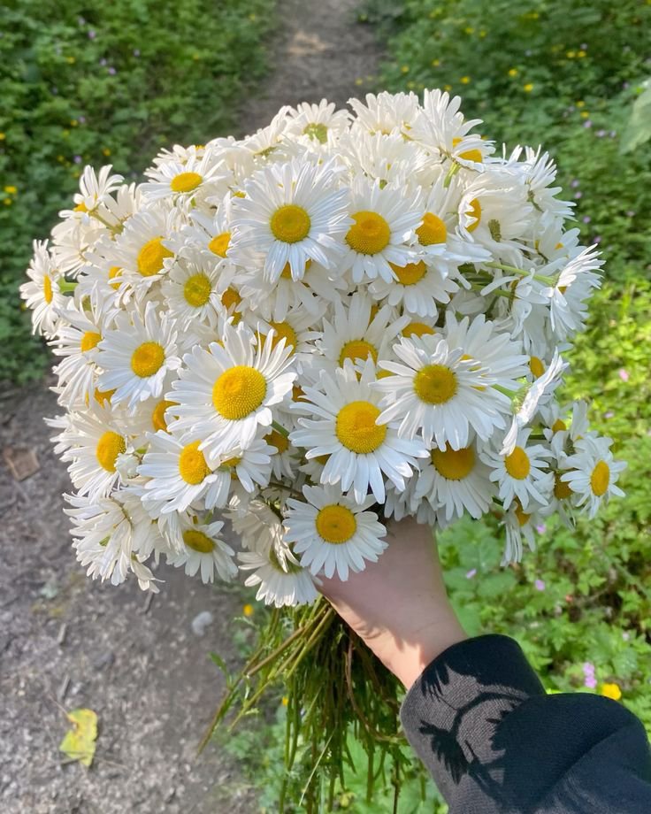 FLOWERS3700's tweet photo. https://t.co/9yXbgylABy
