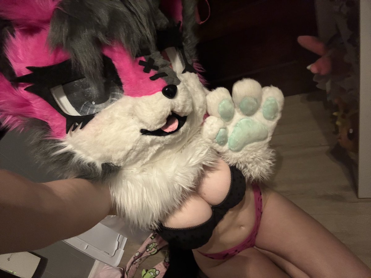FuchsiatheFoxx's tweet photo. Hey twitter~~ ✨

#furrynsfw #fursuitnsfw #yiff #murrsuiters #mursuiter #furry #furryfandom #fursuiter https://t.co/ycb5Sx2p3R