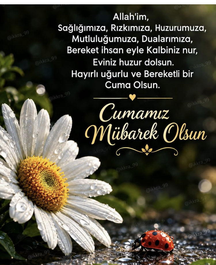 Recepulupnar78's tweet photo. Selamın aleyküm hayırlı sabahlar cumanız mübarek olsun Rabbim dualarımızı kabul eylesin https://t.co/GEcOnW2bHO