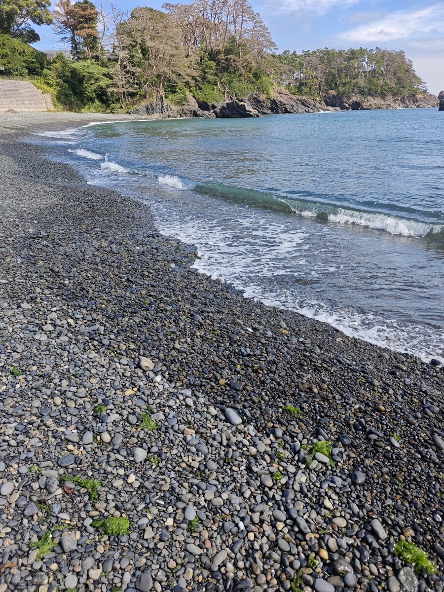 full_tri9's tweet photo. 碁石海岸　碁石みたいなすべすべした石だらけの浜辺　波打ち際は波に攫われ続けて粒度が細かく　浜から遠のく程石がデカくなっていくグラデーションが興味深かった https://t.co/eXU3I6G2rU