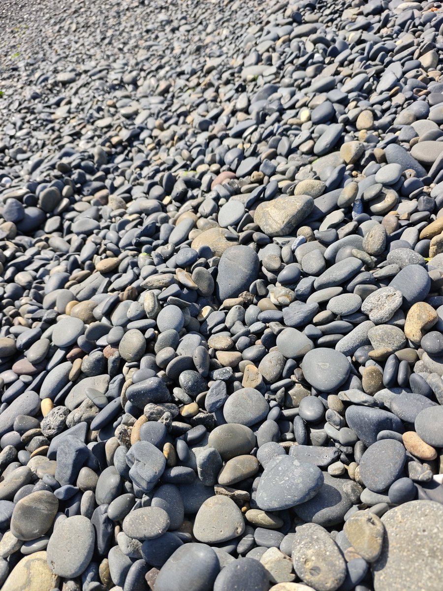 full_tri9's tweet photo. 碁石海岸　碁石みたいなすべすべした石だらけの浜辺　波打ち際は波に攫われ続けて粒度が細かく　浜から遠のく程石がデカくなっていくグラデーションが興味深かった https://t.co/eXU3I6G2rU