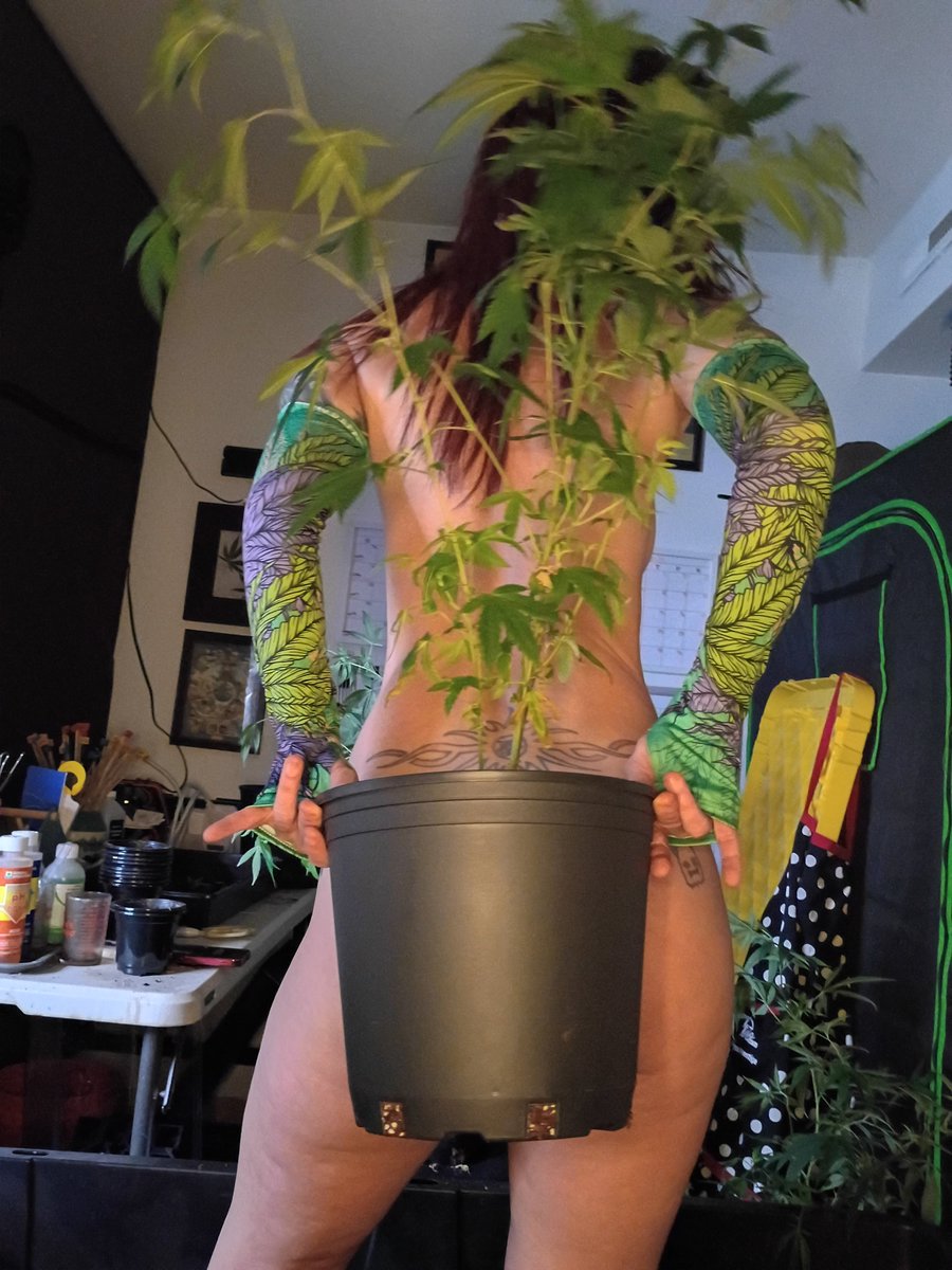 scarletblazes20's tweet photo. I post on my only fans daily
Subscribe for more 

https://t.co/Q2vTUxzj6j https://t.co/7AhWs1jftI