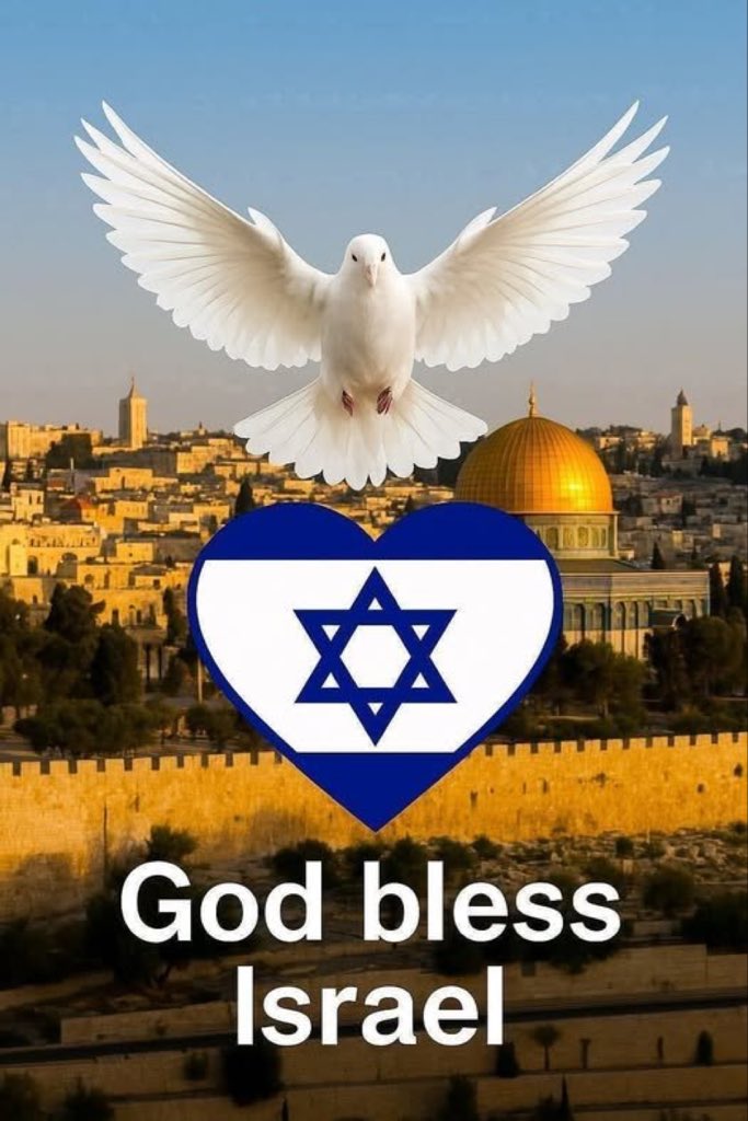 cherrylovel3's tweet photo. 🇮🇱 https://t.co/bWdeVzOoCH
