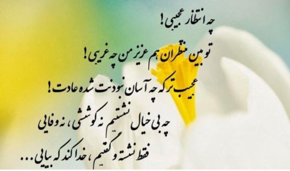 qmpo2l's tweet photo. تقصیر من است اینکه تو کم می‌آیی
وقتی که شوم اسیر غم می‌آیی

این جمعه و جمعه‌های دیگر حرف است
آدم بشوم تو شنبه هم می‌آیی
#اللهم_عجل_لولیک_الفرج https://t.co/FiY4tHtPeA