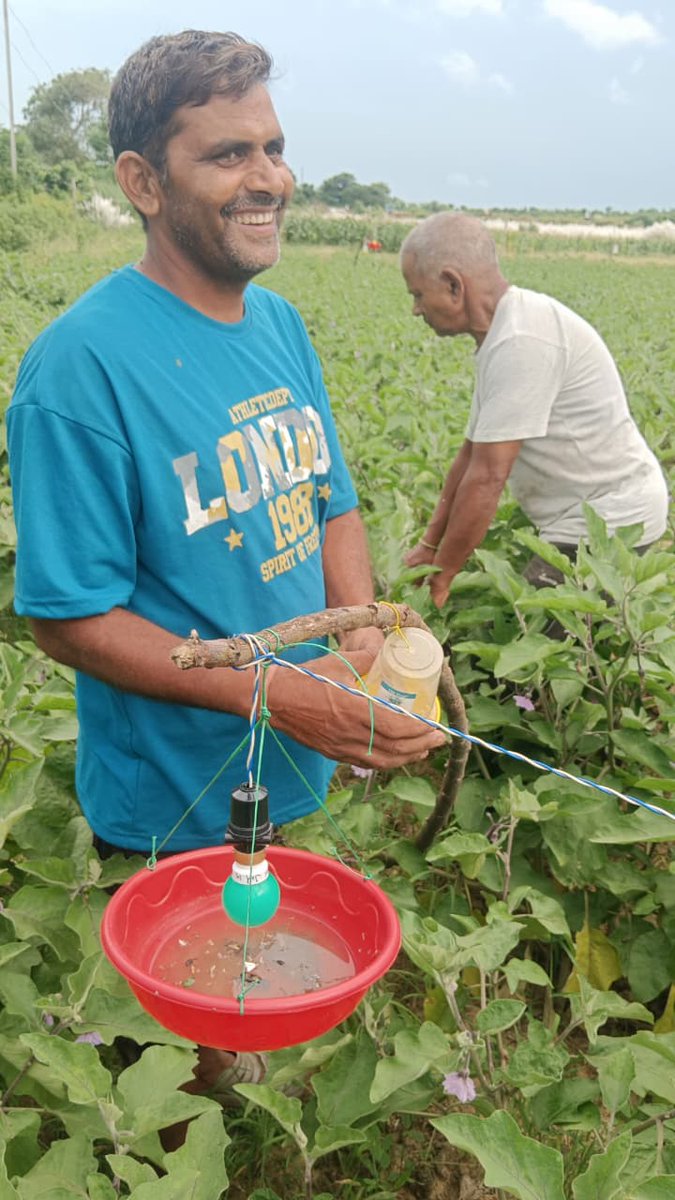 rohtaskvk's tweet photo. Light trap and pheromone trap technology for insect control in brinjal farming, village- Dhaudarh, Farmer's Name - Shri Ram Narayan Singh, block- Sasaram, Rohtas. https://t.co/5UsaL1936X