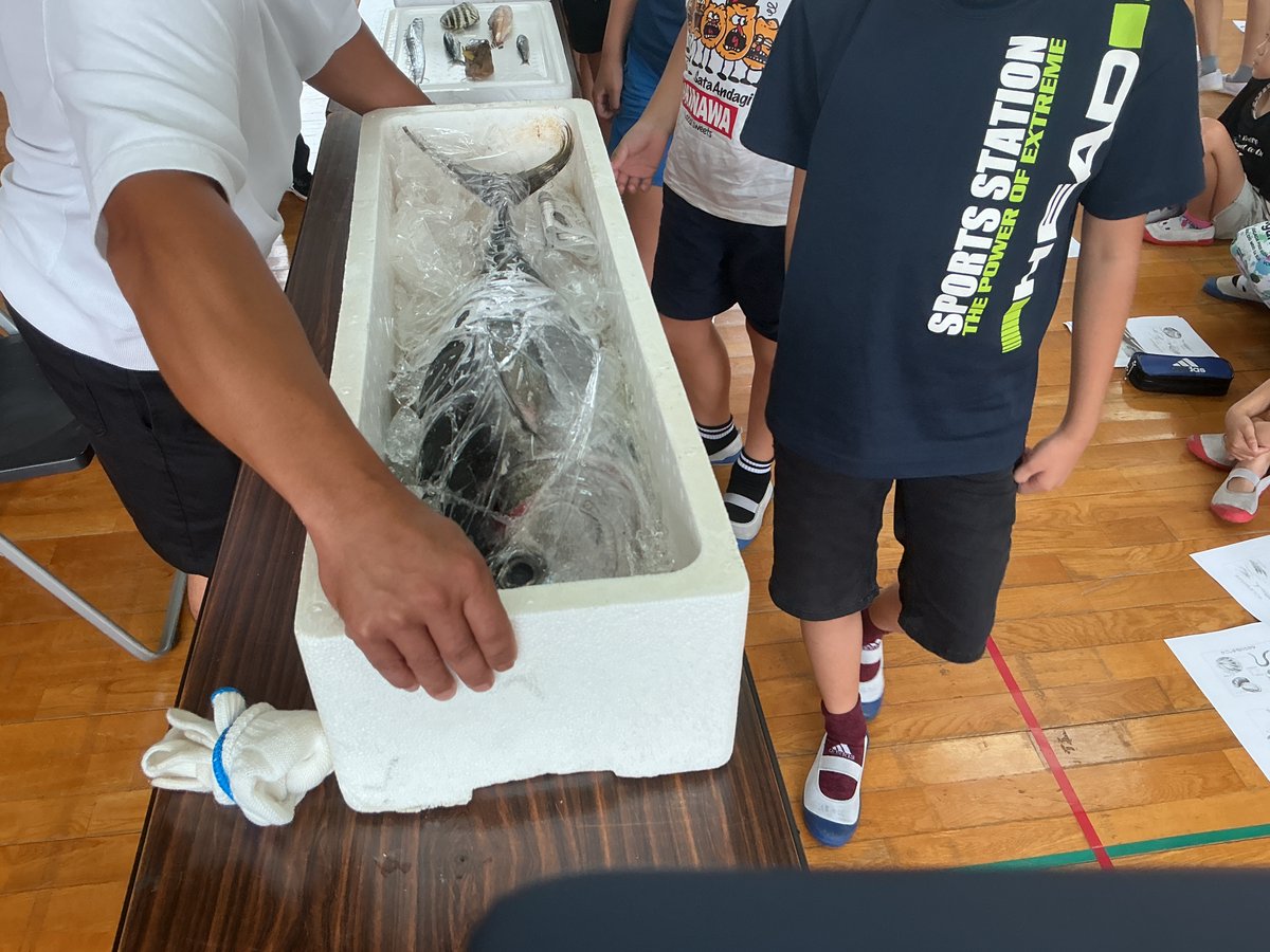 nishihara_esc's tweet photo. 漁協で働いている保護者の方が５年生の社会「水産業のさかんな地域」の講師をしてくださっています。実際に働く方のお話を興味深く聞いています。 https://t.co/TpSGKmbeAc