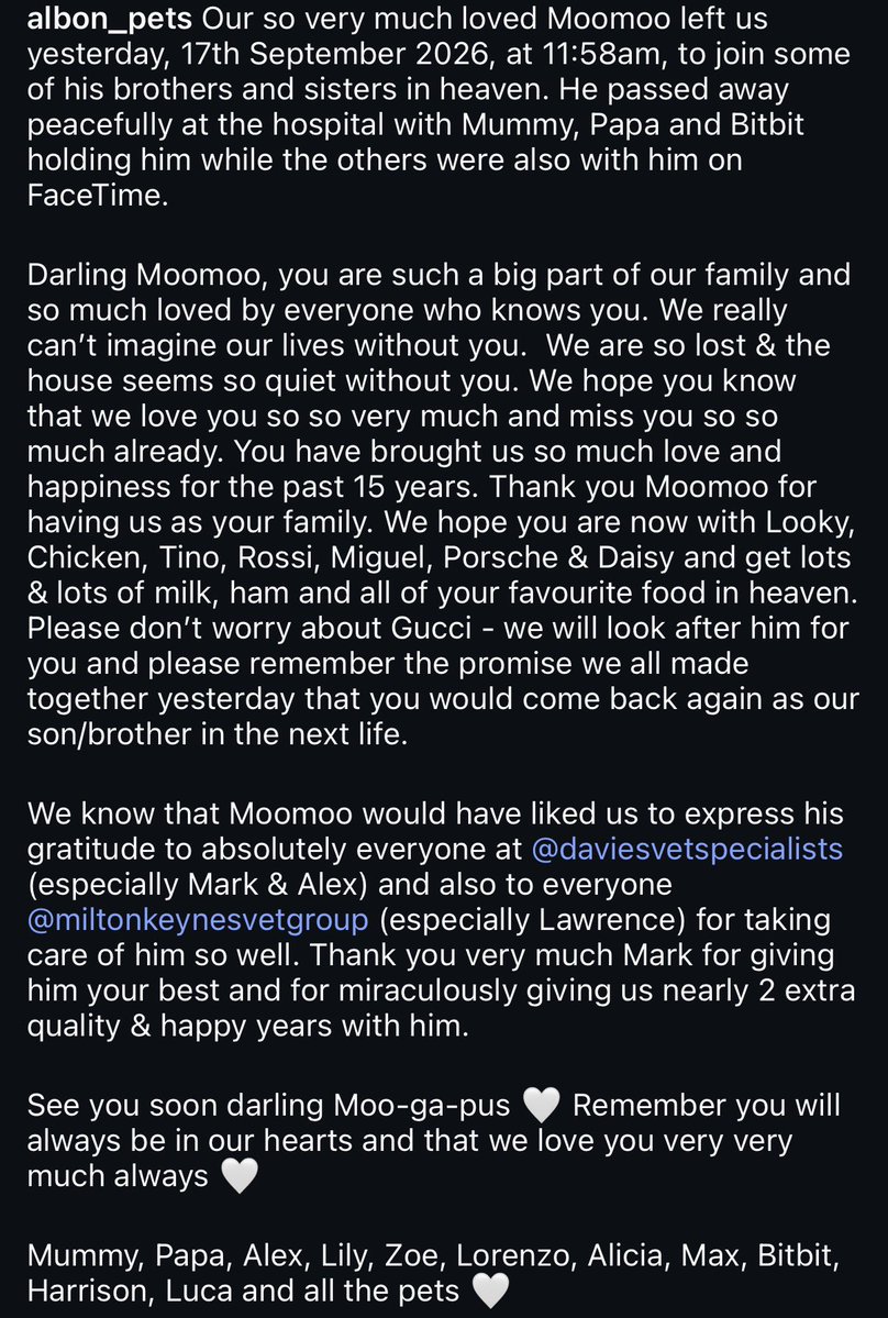 lecomptedelee's tweet photo. Rest in peace Moomoo, we will miss you, from all Alex’s fans we love you forever… 🤍 https://t.co/V8cdP5IDGz