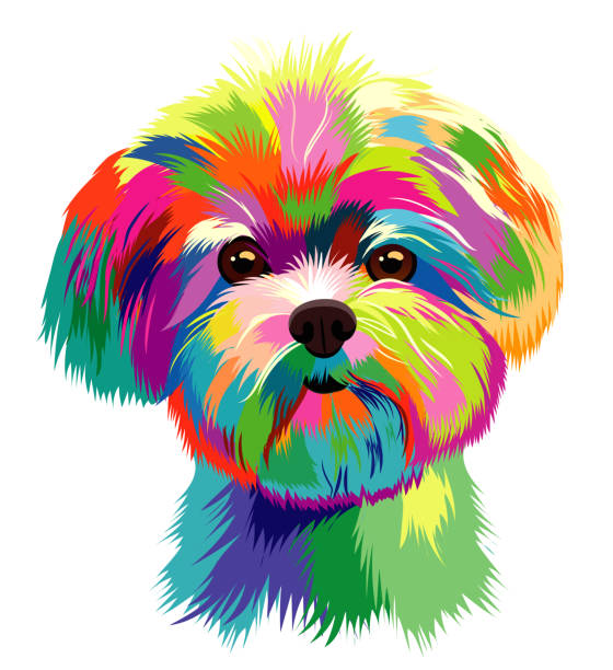 Ghostprodi's tweet photo. 海風日常のわんちゃん🌬🐶 https://t.co/h99djxjSNa