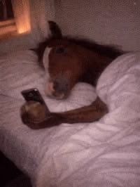 skr_5i's tweet photo. Il est 7h du matin et jss  déjà entrain de penser à la sieste de vengeance que je m’accorderais une fois rentrée https://t.co/vAk8JljjFD