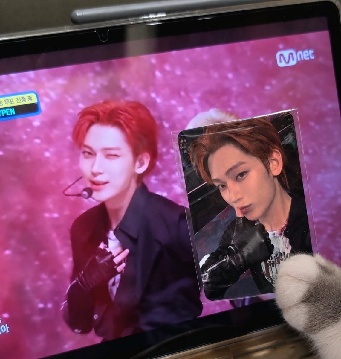 likehotsunmer's tweet photo. 드디어 엠카떤 포카가 내손안에🦊🦊 https://t.co/tHgqB7zQyC