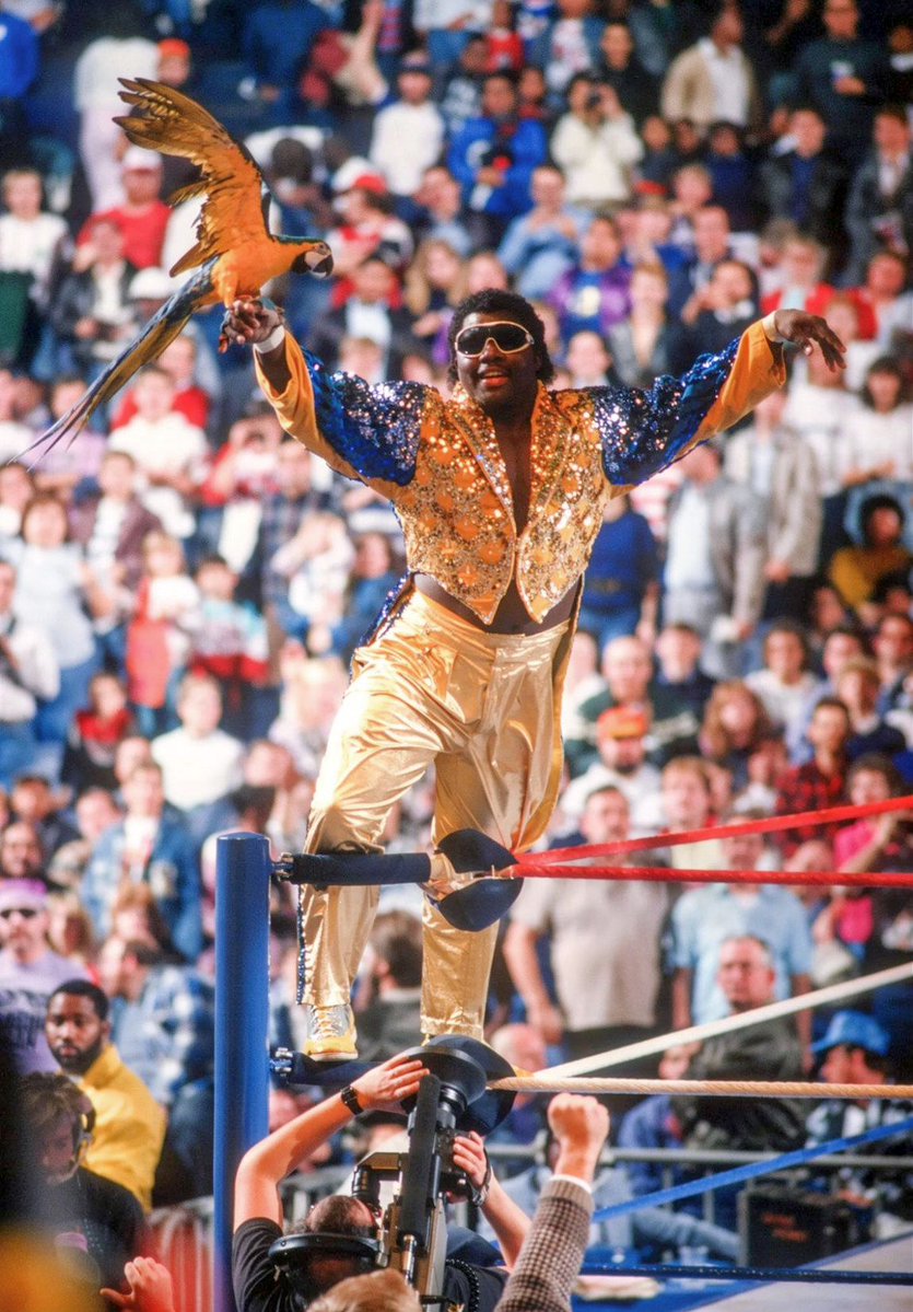 WWFWrestling1's tweet photo. Flyin' into Friday with Koko & Frankie! "You better strut your stuff because the Birdman's in town!" π¦ #WWF #WWE #Frankie #KokoBWare https://t.co/rxB0R7iwYX