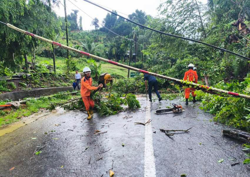 fsd_gov_mm's tweet photo. On 17.9.2026, at about 15 20, due to heavy rainfall, the soil became soft and a tree was uprooted and fell across the road beside the Kawthaung–Bokpyin Union Highway, Bokpyin Town, Tanintharyi. SAR members from the Bokpyin Township Fire Station carried out clearance operations. https://t.co/b2ODj5HIvR