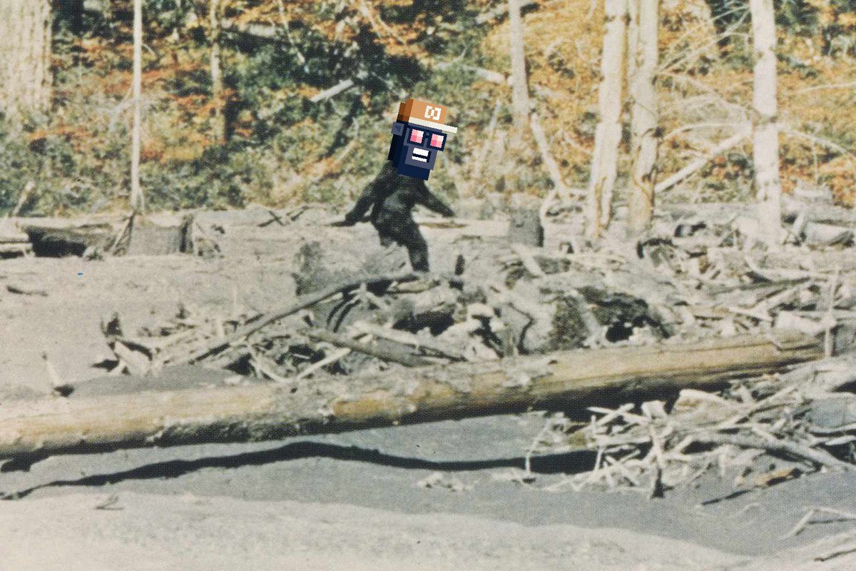 BITFOOTS_'s tweet photo. Never caught. Never sold. 

You don't buy a Bitfoot....

You spot him (or you think you do).

The only price is the hunt. 

Free as in the wild..... Ok, technically $5 Mint price to put the collection out there to cover launchpad and network fees. https://t.co/50Ni5Z00I5