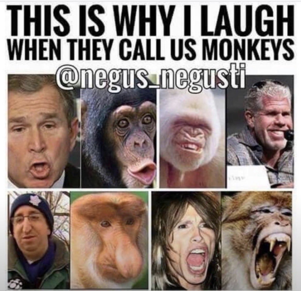 ambi7er's tweet photo. @AndrewMM1964 @Charger10_ Nigga u are an ape https://t.co/35LHwkEyEr