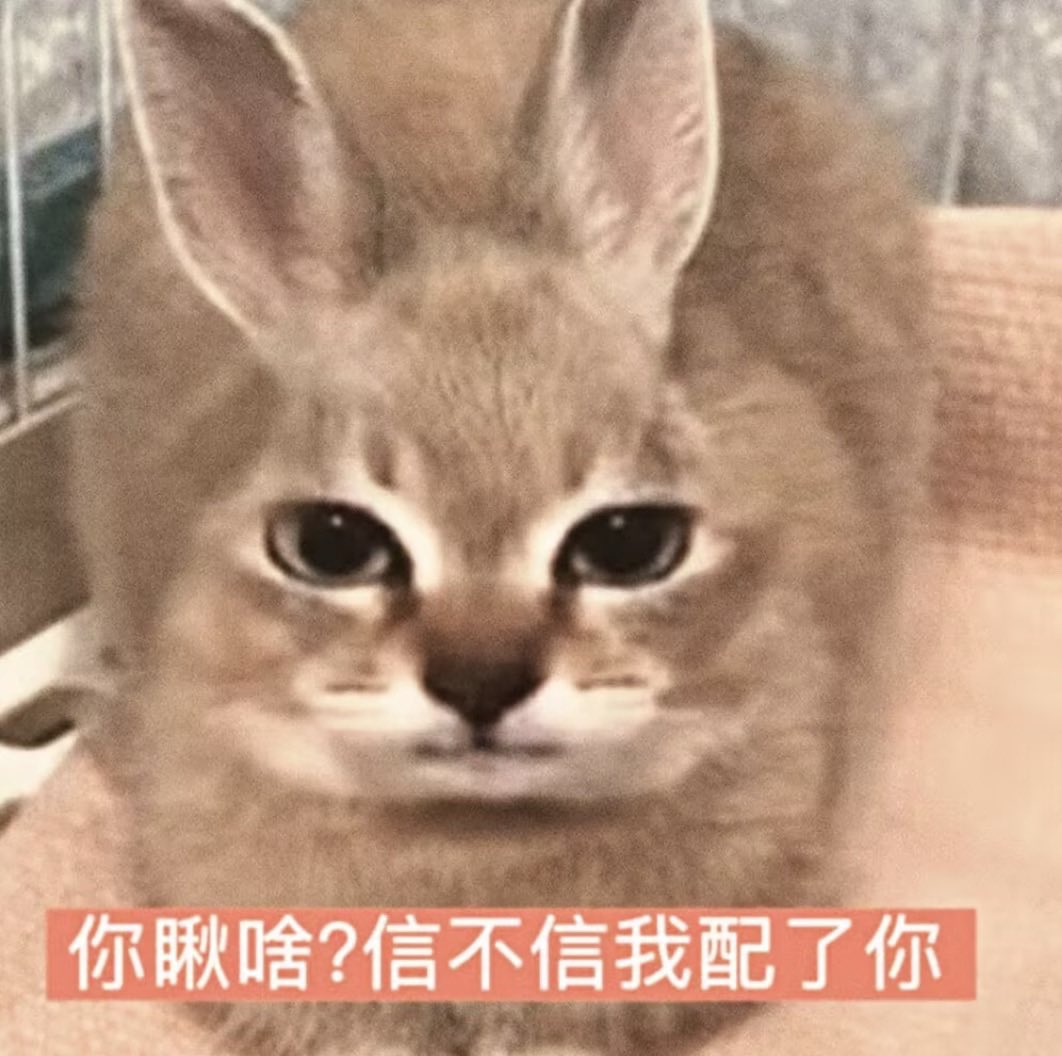 pyonne8877's tweet photo. catgirlsammy againnn https://t.co/MkcWVuZe14