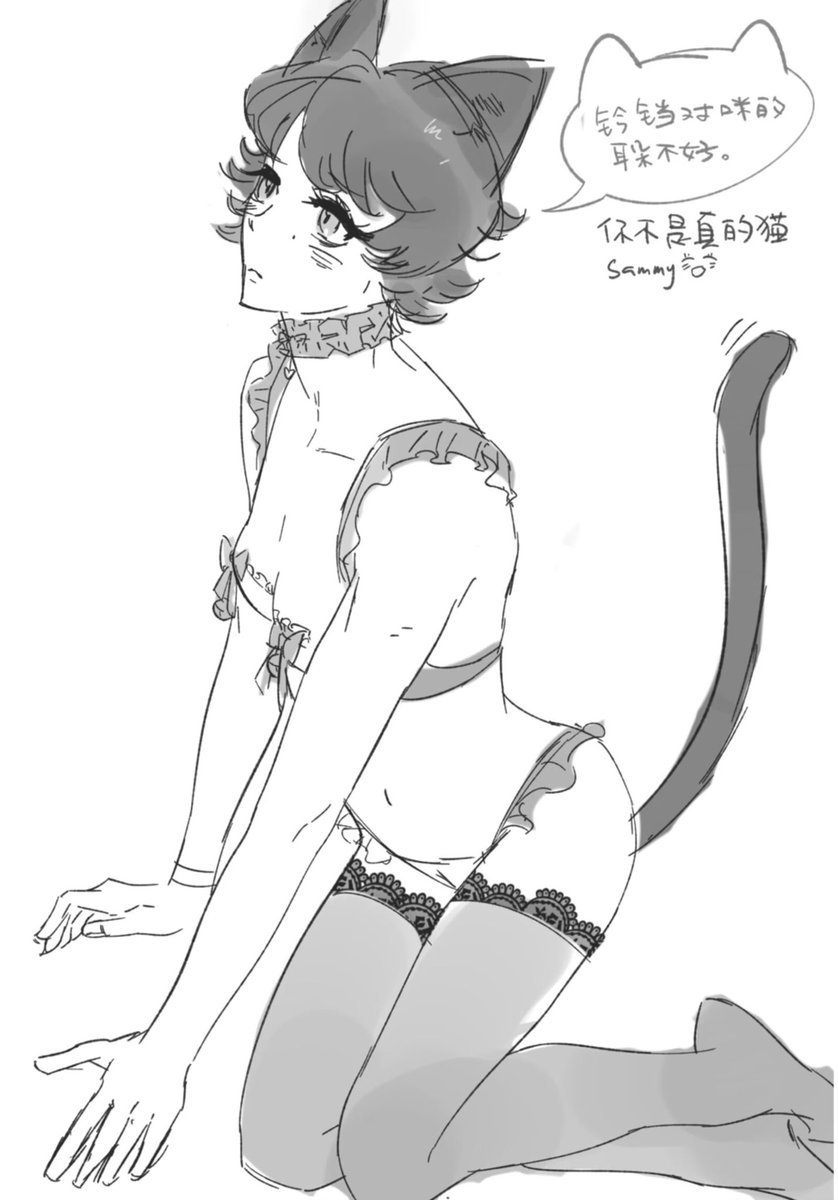 pyonne8877's tweet photo. catgirlsammy againnn https://t.co/MkcWVuZe14