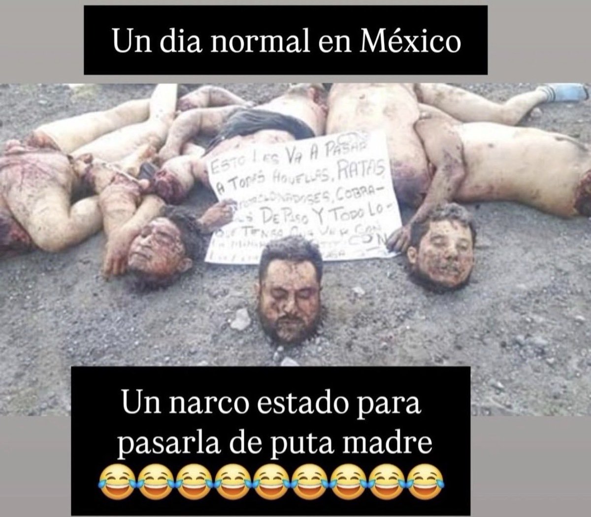 TiagoX1045879's tweet photo. @rp777_rp @datoslatinoamer Cállate arjensimio acá somos primer mundo pinché sudaka🦍🦍💚🤎💚 https://t.co/SX4VuyLO1T