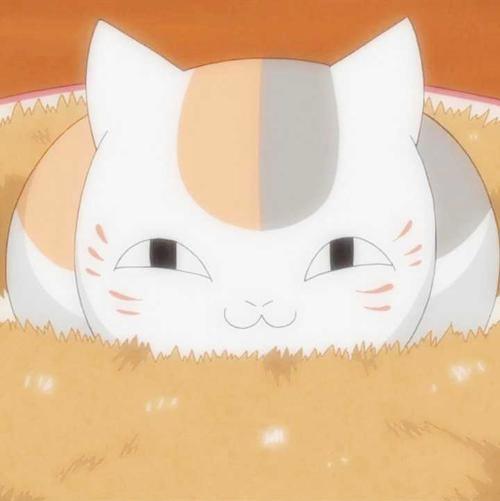 Ragul5318's tweet photo. 🌸 🚩 🎉 🧢 🌺 Binge watching old favorites, comfort mode on https://t.co/572l8Yo3sY