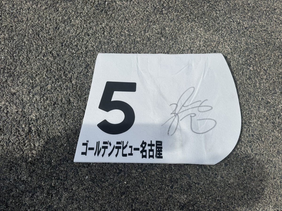 sora_lisanna's tweet photo. ダブルホールド君🐎

結果は惜しくも2着でしたが最後の追い上げがすごかったですね！！✨
これは距離が延びたら楽しみな、次に期待がもてる2着だったと思います😆✨
パドックでぬ〜ん(_ _)って感じだった時は大丈夫かな？と思いましたが😂（笑）

現地で皆様と応援出来てすごく嬉しかったです☺️
お声がけ下さった皆様！本当にありがとうございました😊また近日中に動画公開致します🙏