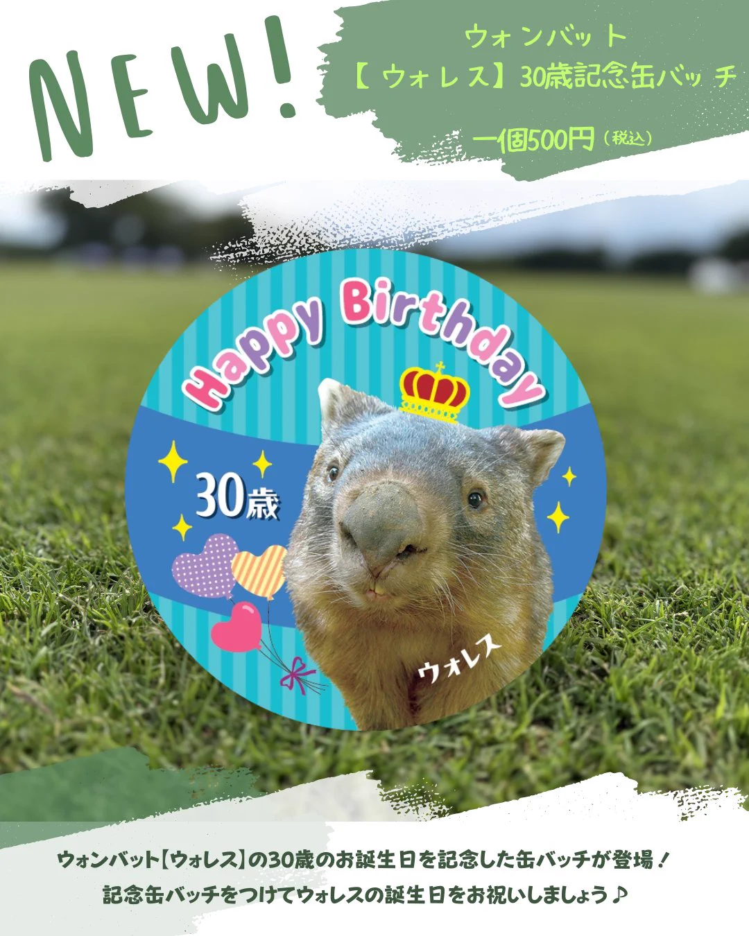 長野市茶臼山動物園【公式】 on X: 