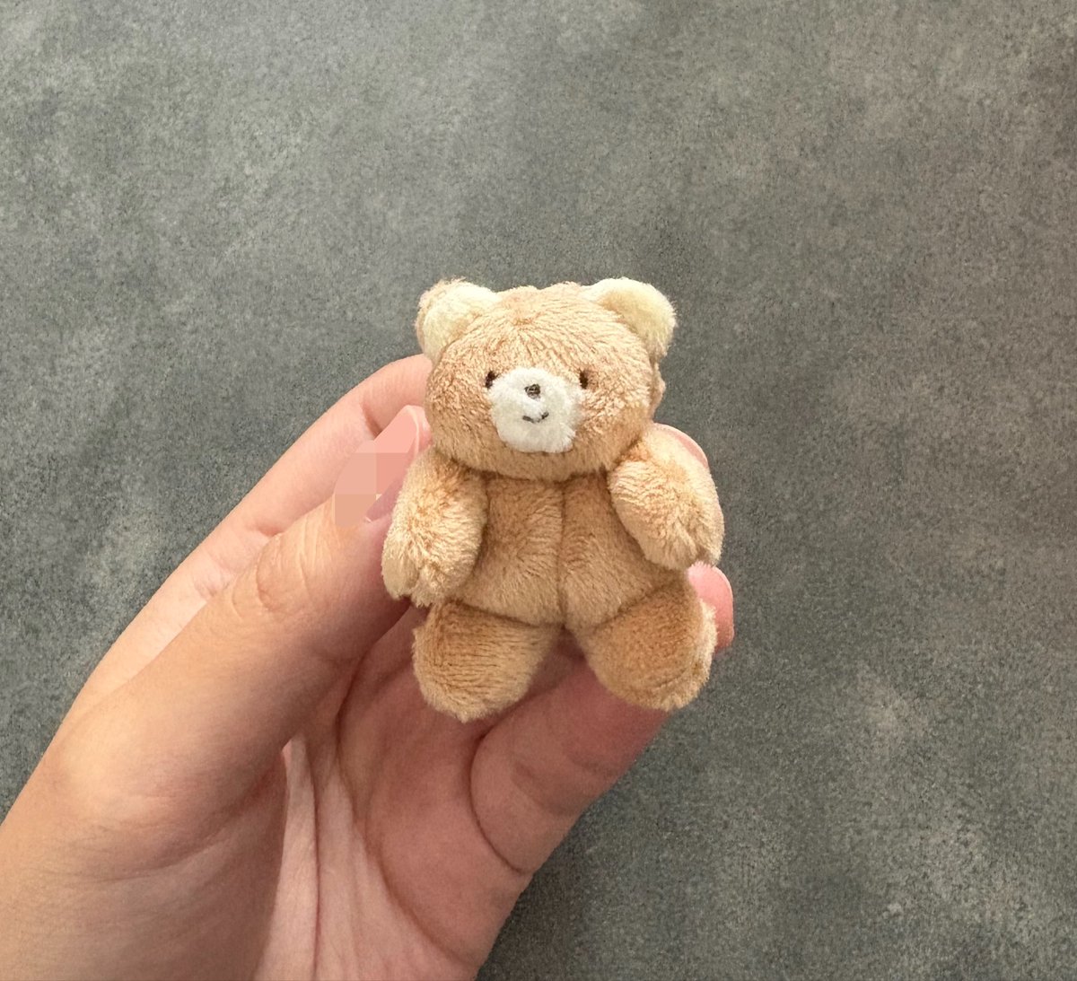 kabocco_nui's tweet photo. 金木犀の香りがしてくる今日この頃です🌼 https://t.co/o3roVtceLb