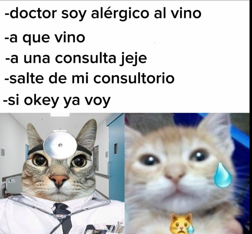 PlatanoSans's tweet photo. https://t.co/MC3ZPbTPOZ